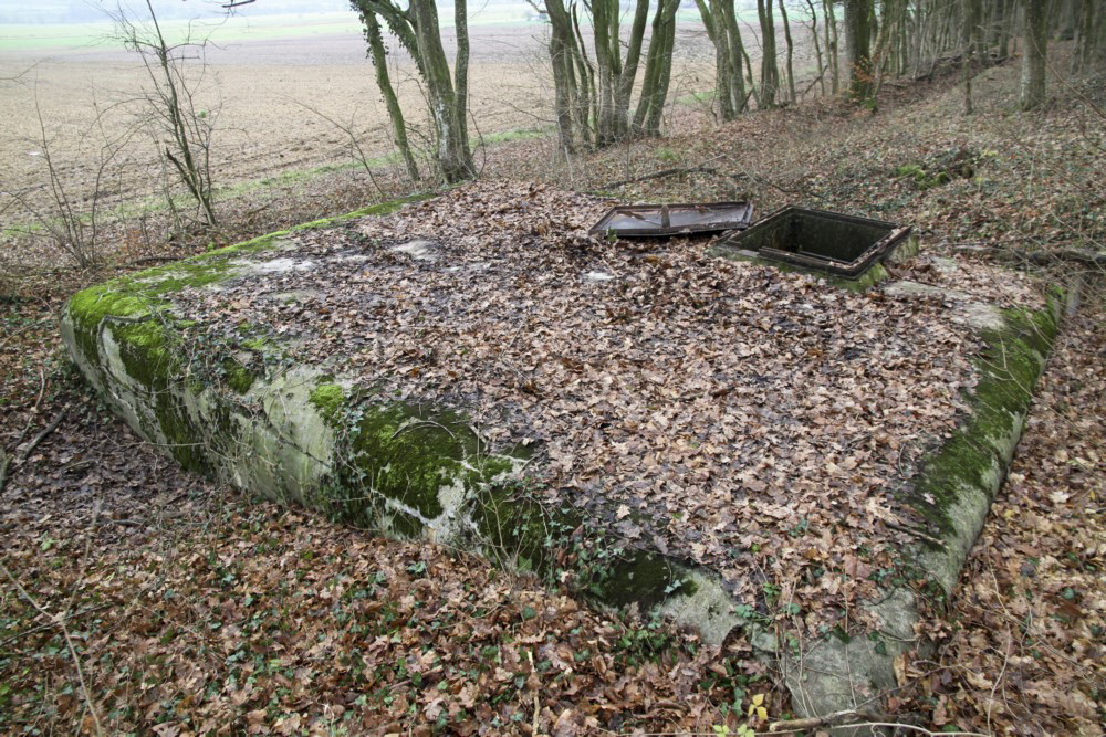 Ligne Maginot - 29A - (Chambre de coupure) -  - Alain Perouffe