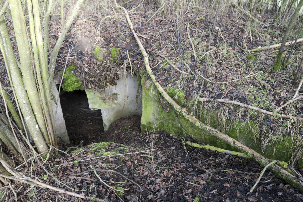Ligne Maginot - A5 - (Abri actif) -     - Alain Perouffe