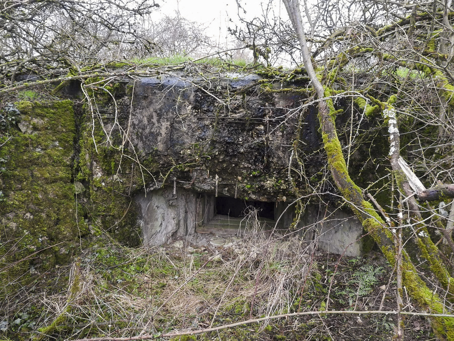 Ligne Maginot - BB1 - (Blockhaus pour canon) - La façade de flanquement vers l'Est. - STENGER Mathieu
