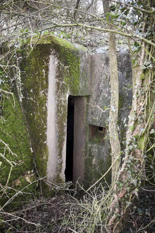Ligne Maginot - BB2 - (Blockhaus pour canon) - Accès arrière et créneau de défense - Fré Do