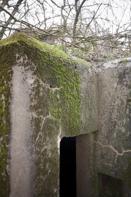 Ligne Maginot - BB2 - (Blockhaus pour canon) - Accès arrière
Détail sur armatures pour camouflage - Fré Do