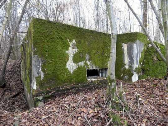 Ligne Maginot - BB130 - BUCHWIESE OUEST - (Blockhaus pour canon) -  - AALMA - lignemaginot.com
