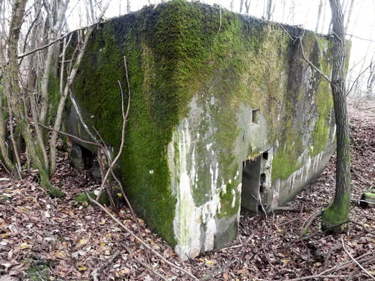 Ligne Maginot - BB130 - BUCHWIESE OUEST - (Blockhaus pour canon) -  - AALMA - lignemaginot.com