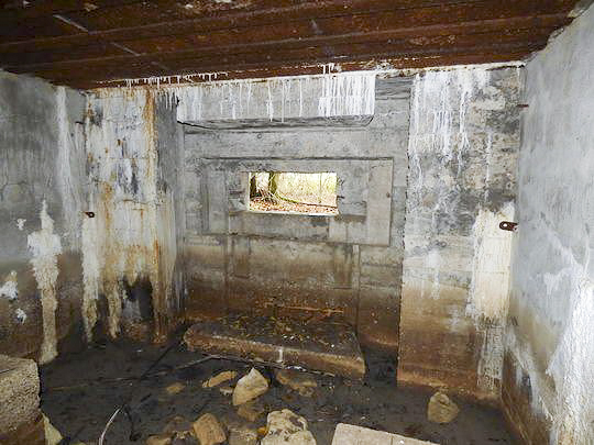 Ligne Maginot - BB130 - BUCHWIESE OUEST - (Blockhaus pour canon) -  - AALMA - lignemaginot.com