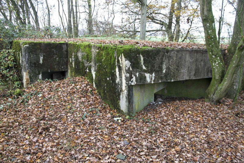 Ligne Maginot - BB3 - BUCHWIESE EST - (Blockhaus pour canon) - Entrée et flanquement droit  - Alain Perouffe