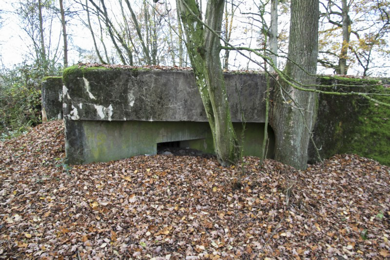 Ligne Maginot - BB3 - BUCHWIESE EST - (Blockhaus pour canon) - Flanquement droit  - Alain Perouffe
