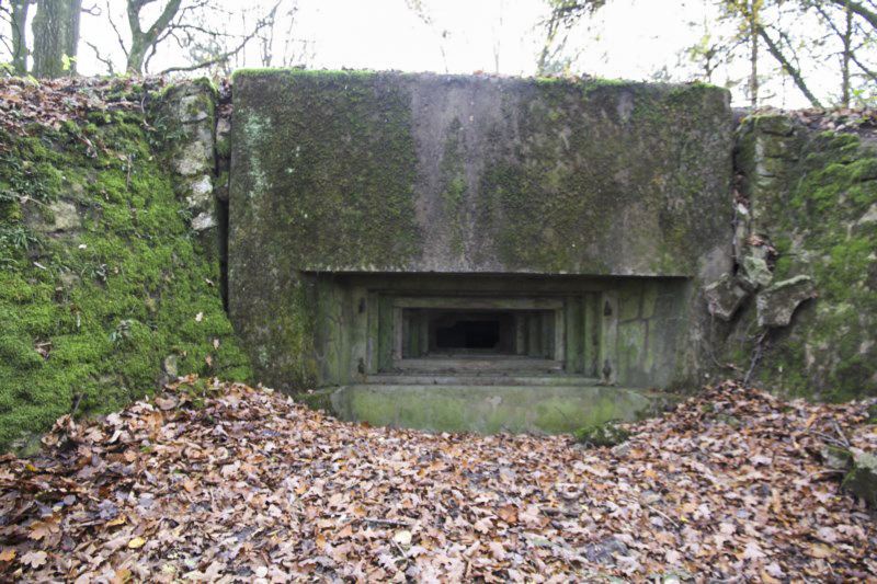 Ligne Maginot - BB3 - BUCHWIESE EST - (Blockhaus pour canon) - Créneau canon frontal - Alain Perouffe