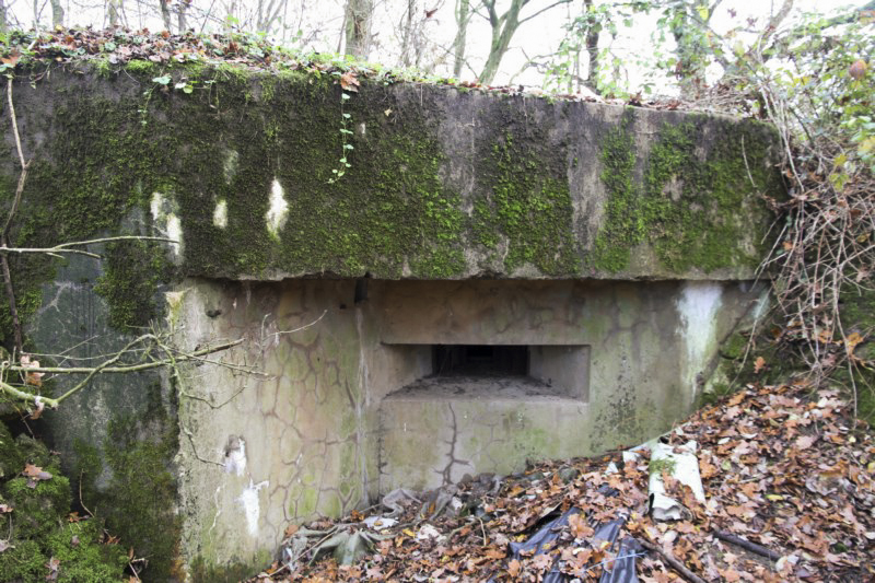 Ligne Maginot - BB3 - BUCHWIESE EST - (Blockhaus pour canon) - Flanquement gauche - Alain Perouffe