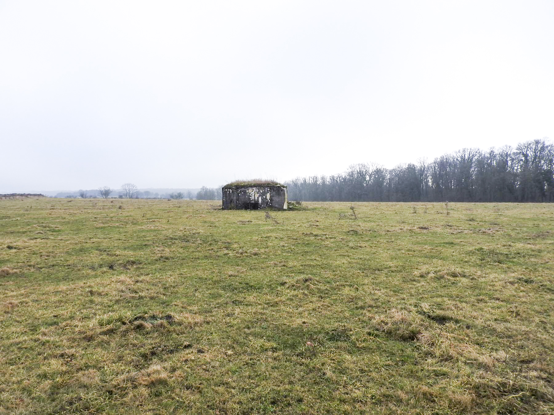 Ligne Maginot - BB21-C - KIRCHENCOUPE - (Blockhaus de type indéterminé) - Le blockhaus d'infanterie au milieu des paturages. - STENGER Mathieu