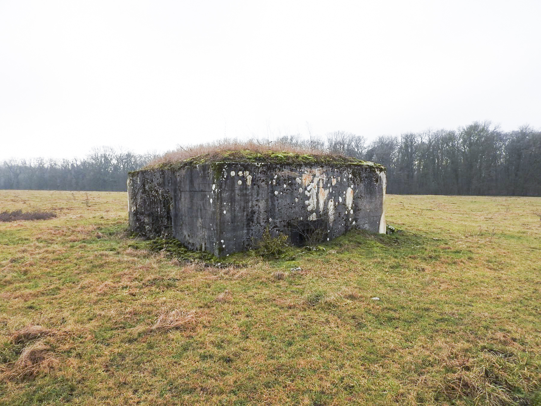 Ligne Maginot - BB21-C - KIRCHENCOUPE - (Blockhaus de type indéterminé) - La façade de tir de flanquement gauche pour mitrailleuse. - STENGER Mathieu