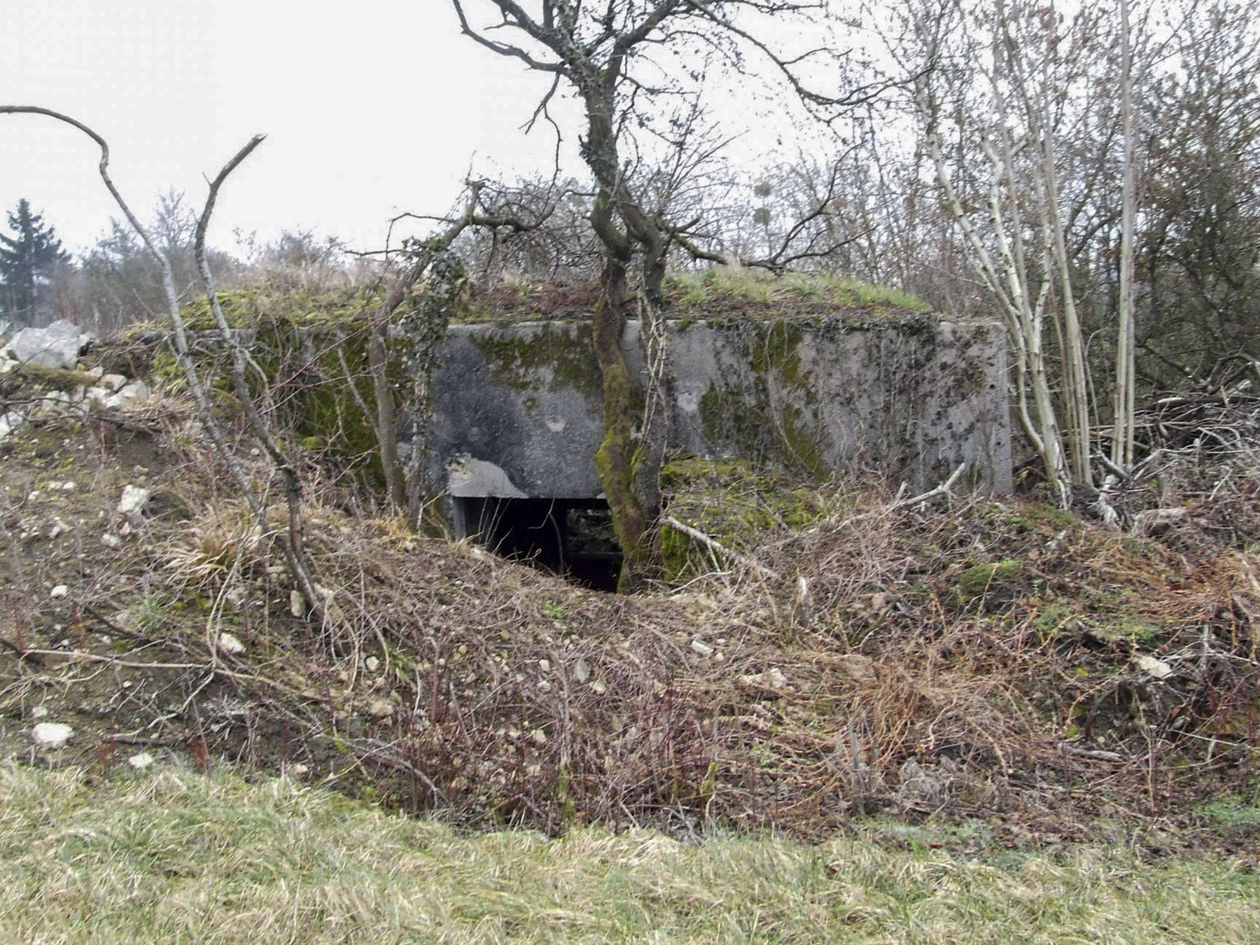 Ligne Maginot - BB27-B - VOIE FERREE - (Blockhaus pour canon) - La façade arrière. - STENGER Mathieu