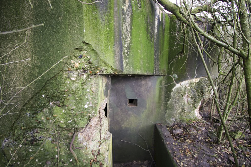Ligne Maginot - BB33 - HERRENFELD SUD - (Blockhaus pour canon) -        - Alain Perouffe
