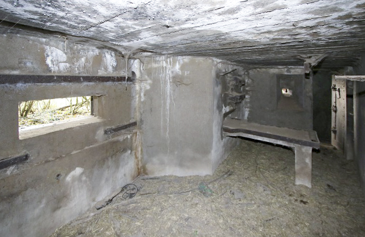 Ligne Maginot - BB33 - HERRENFELD SUD - (Blockhaus pour canon) -          - Alain Perouffe