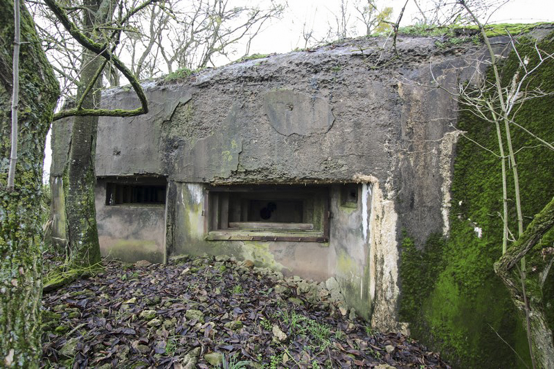 Ligne Maginot - BB34 - HERRENFELD NORD - (Blockhaus pour canon) -            - Alain Perouffe