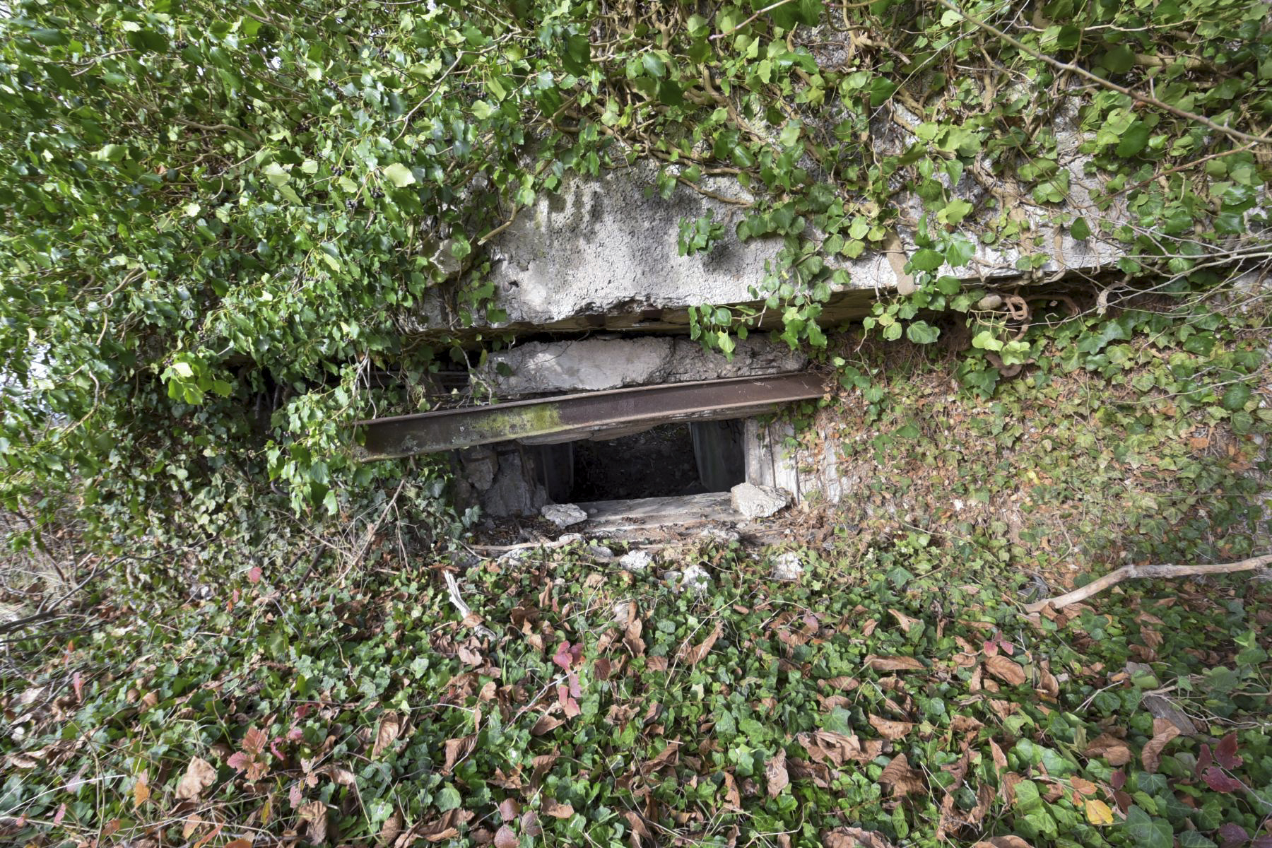 Ligne Maginot - B138 - ARTZENHEIM SUD 1 - (Blockhaus pour canon) -  - Ludovic KNAPP