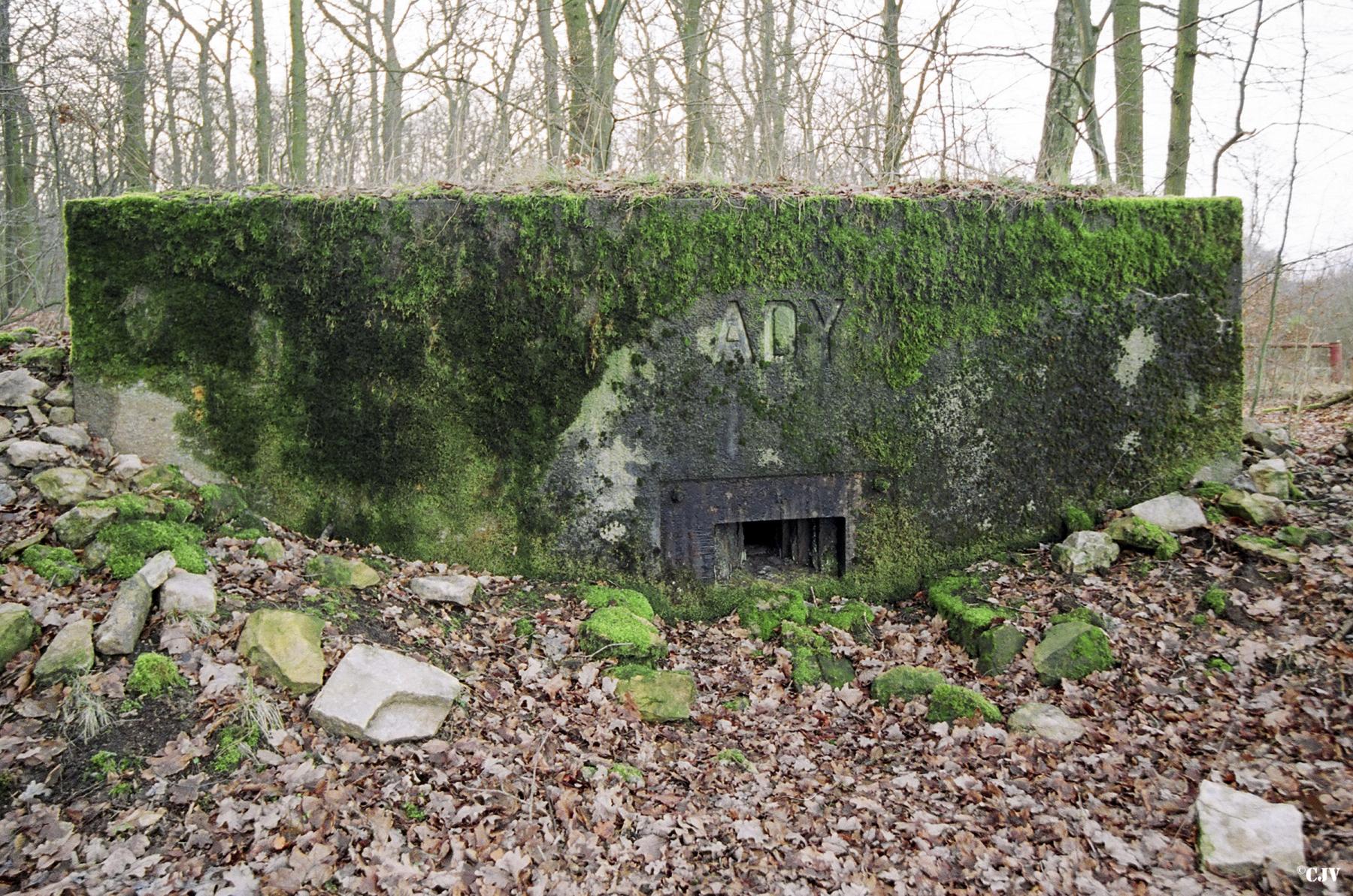 Ligne Maginot - BB128 - BRUEHL OUEST - ADY - (Blockhaus pour arme infanterie) -  - Lia VERMEULEN