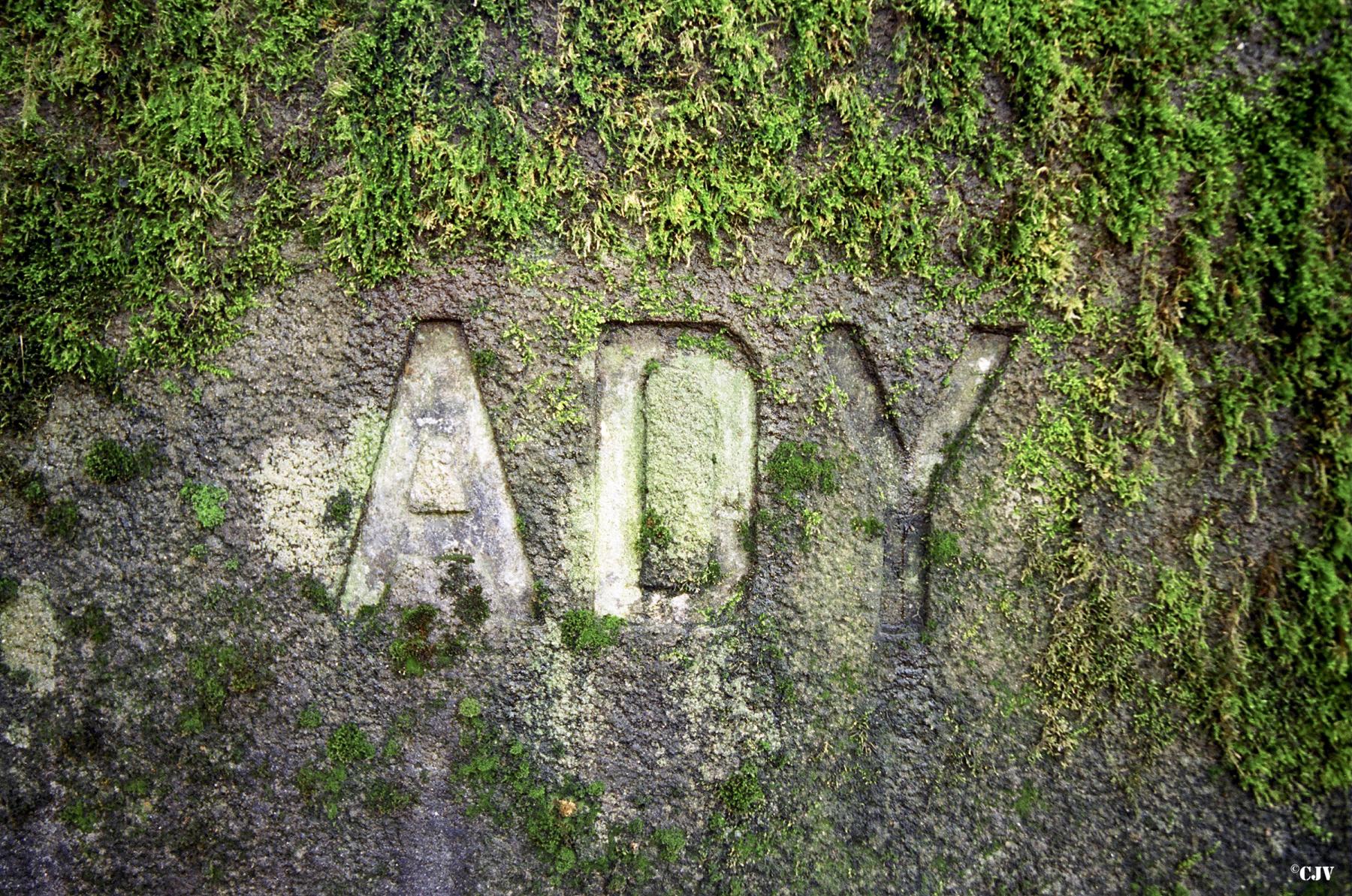 Ligne Maginot - BB128 - BRUEHL OUEST - ADY - (Blockhaus pour arme infanterie) -  - Lia VERMEULEN