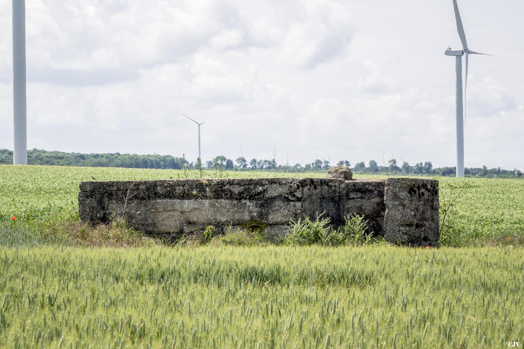 Ligne Maginot - BUCHFELD 3 - (Cuve pour arme d'infanterie) - Les trois emplacements de Buchfeld - Lia VERMEULEN