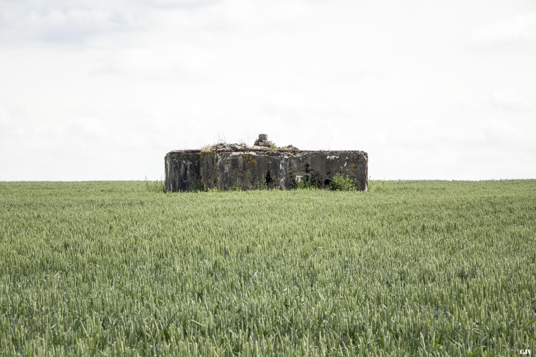 Ligne Maginot - HOCHWAELDEN Est - (Blockhaus pour canon) -  - Lia VERMEULEN