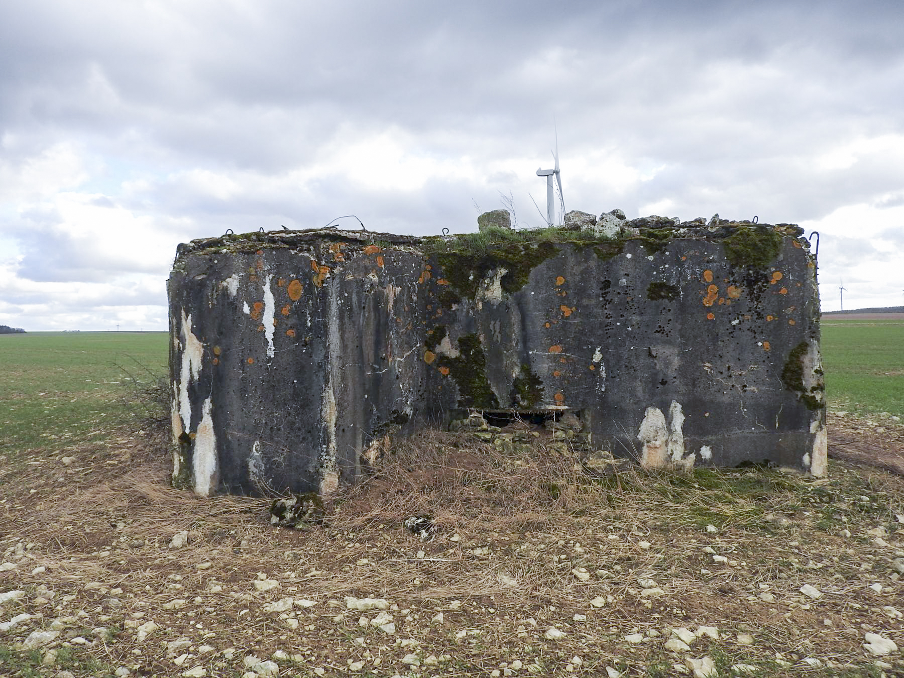 Ligne Maginot - HOCHWAELDEN EST - (Blockhaus pour canon) - La façade de tir. - STENGER Mathieu