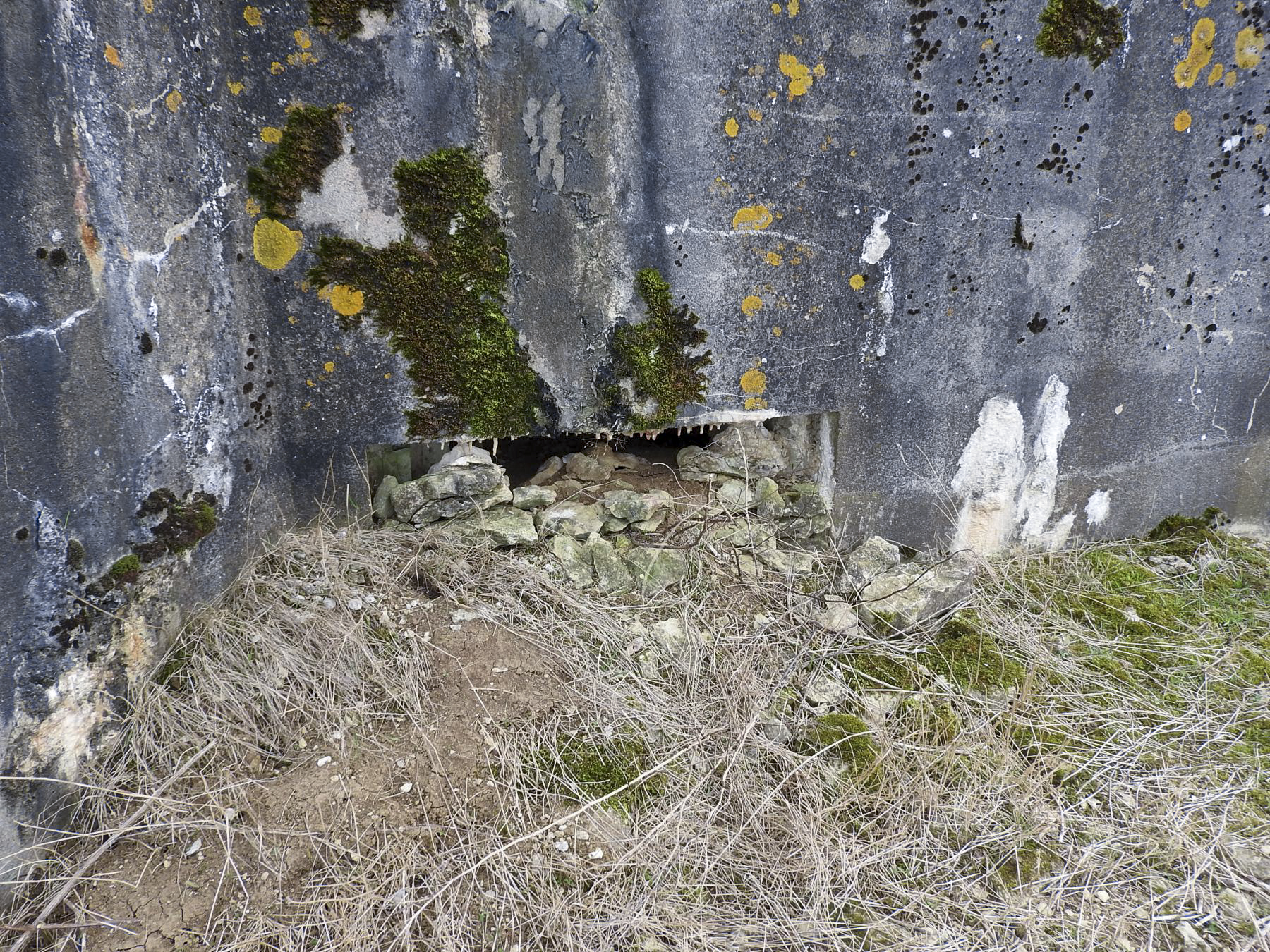 Ligne Maginot - HOCHWAELDEN EST - (Blockhaus pour canon) - L'embrasure remblayée. - STENGER Mathieu
