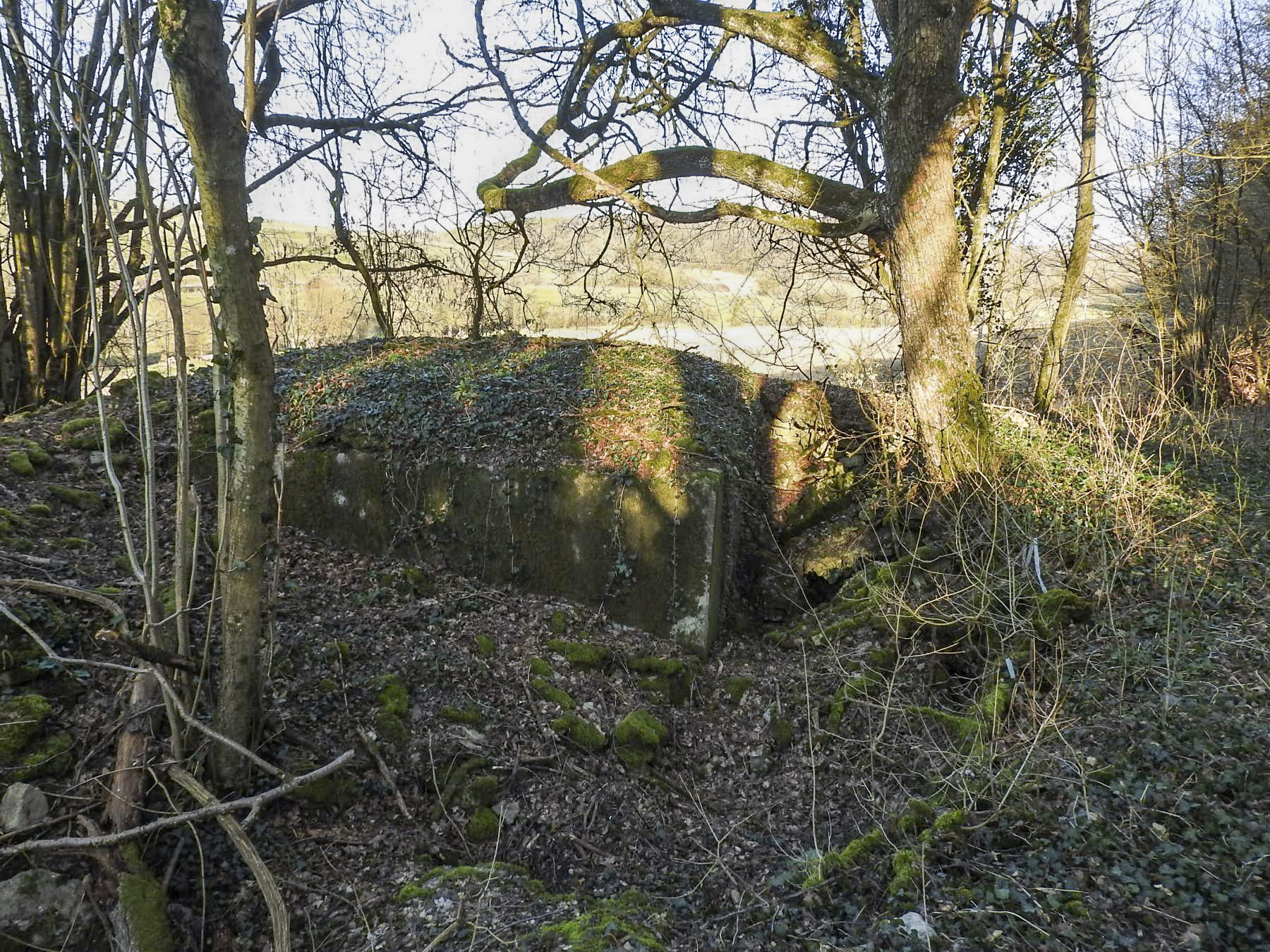 Ligne Maginot - MUEHLENBACH 1 - (Blockhaus pour arme infanterie) - Le blockhaus en lisière de forêt. - STENGER Mathieu