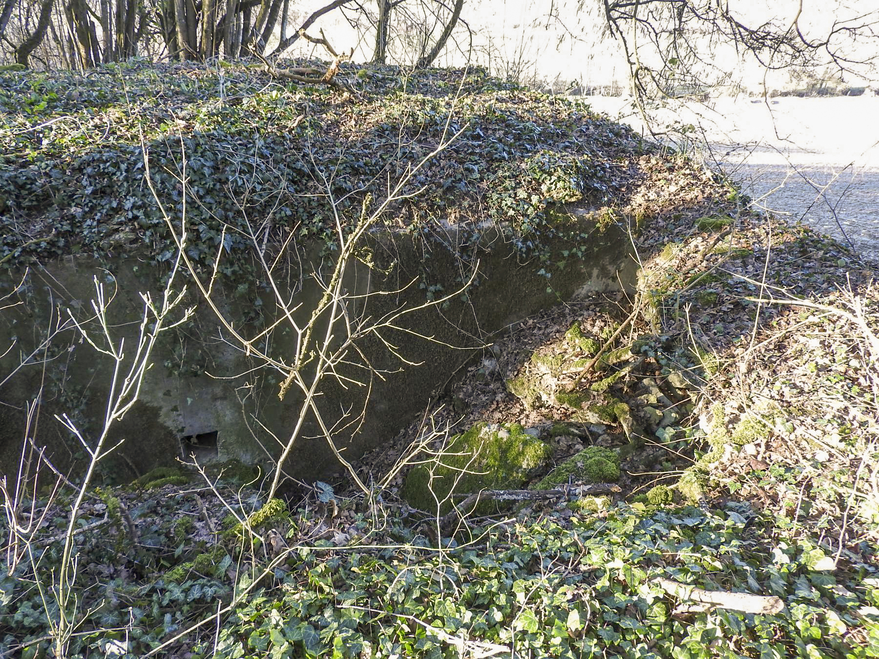Ligne Maginot - MUEHLENBACH 1 - (Blockhaus pour arme infanterie) - L'entrée est remblayée. - STENGER Mathieu
