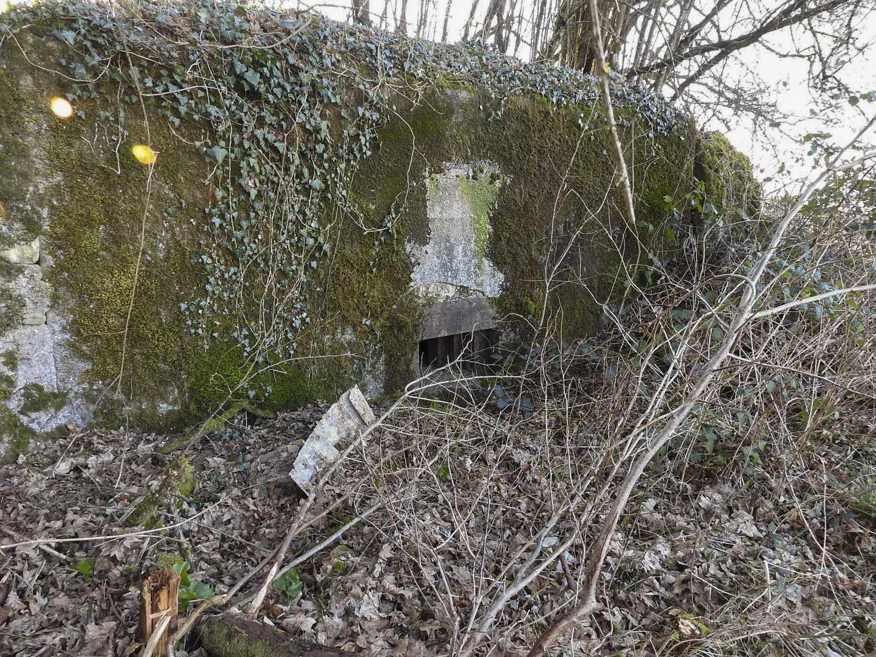 Ligne Maginot - MUEHLENBACH 1 - (Blockhaus pour arme infanterie) - La façade de tir. - STENGER Mathieu