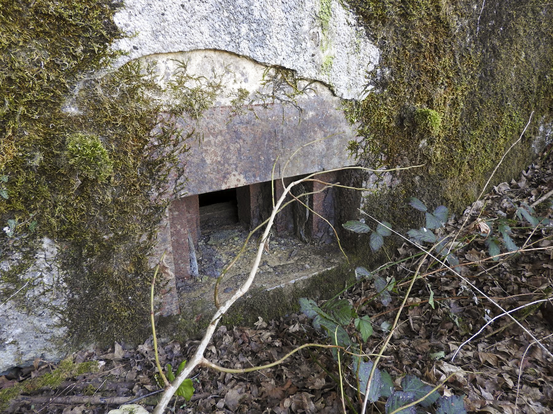 Ligne Maginot - MUEHLENBACH 1 - (Blockhaus pour arme infanterie) - Le créneau pour une mitrailleuse. - STENGER Mathieu