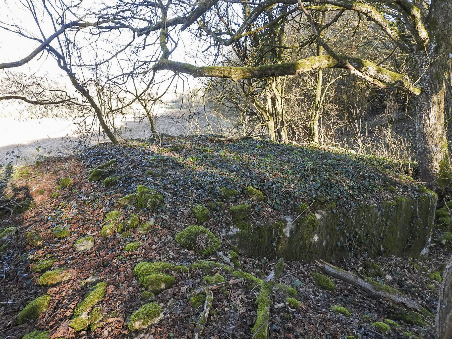 Ligne Maginot - MUEHLENBACH 1 - (Blockhaus pour arme infanterie) -  - STENGER Mathieu