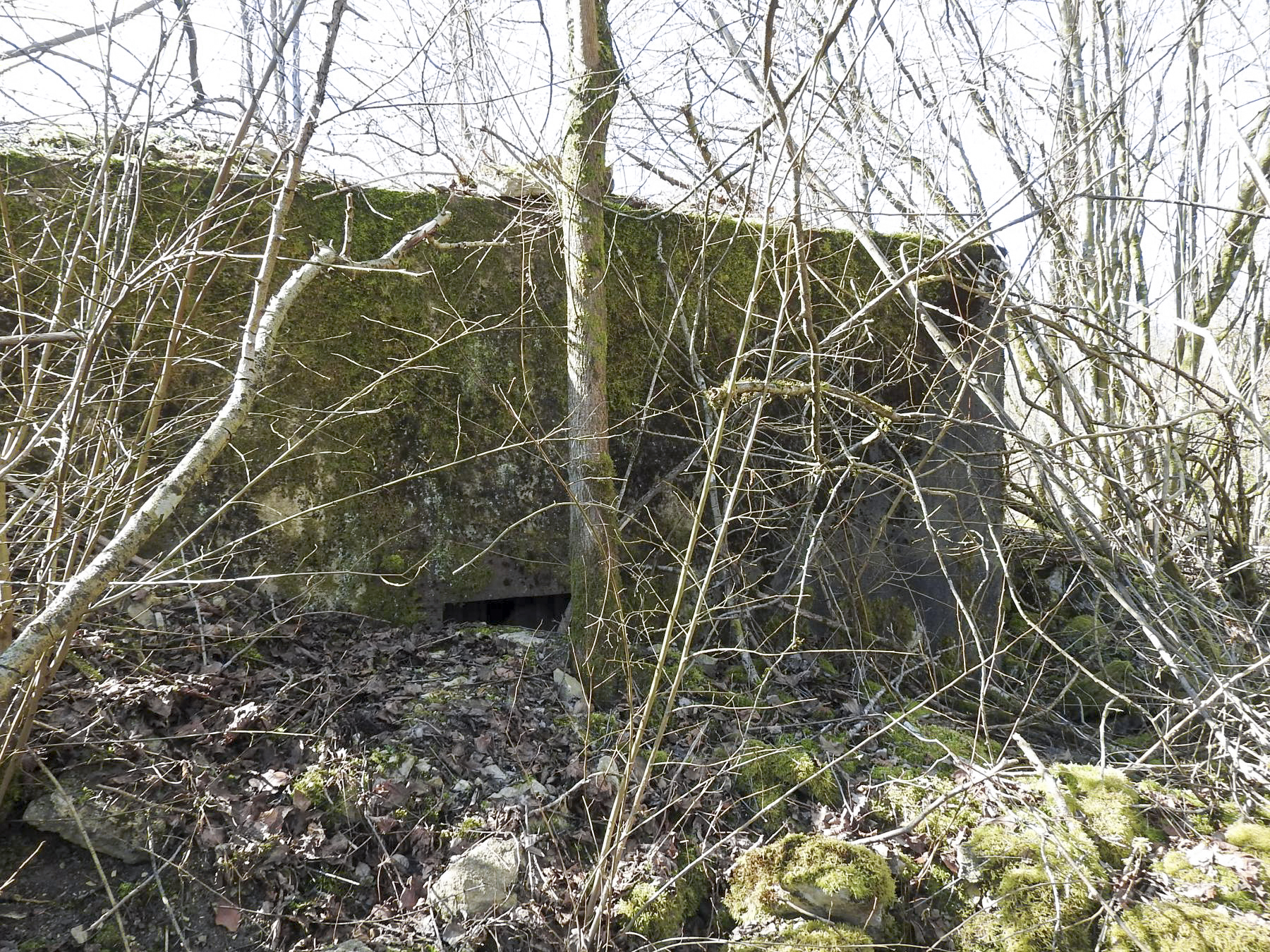 Ligne Maginot - MUEHLENBACH 2 - (Blockhaus pour arme infanterie) - La façade de tir du blockhaus. - STENGER Mathieu