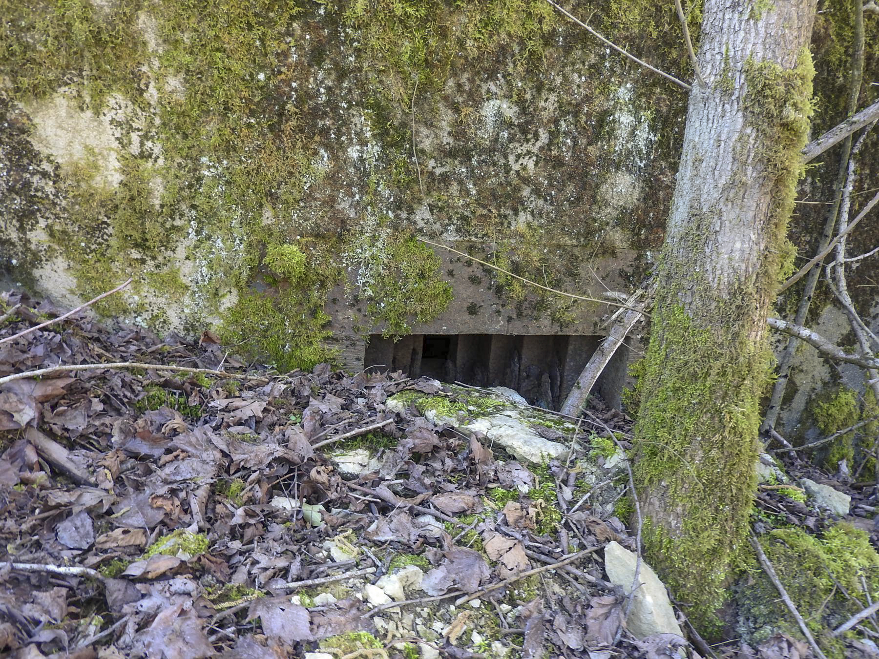 Ligne Maginot - MUEHLENBACH 2 - (Blockhaus pour arme infanterie) - Le créneau pour mitrailleuse. - STENGER Mathieu