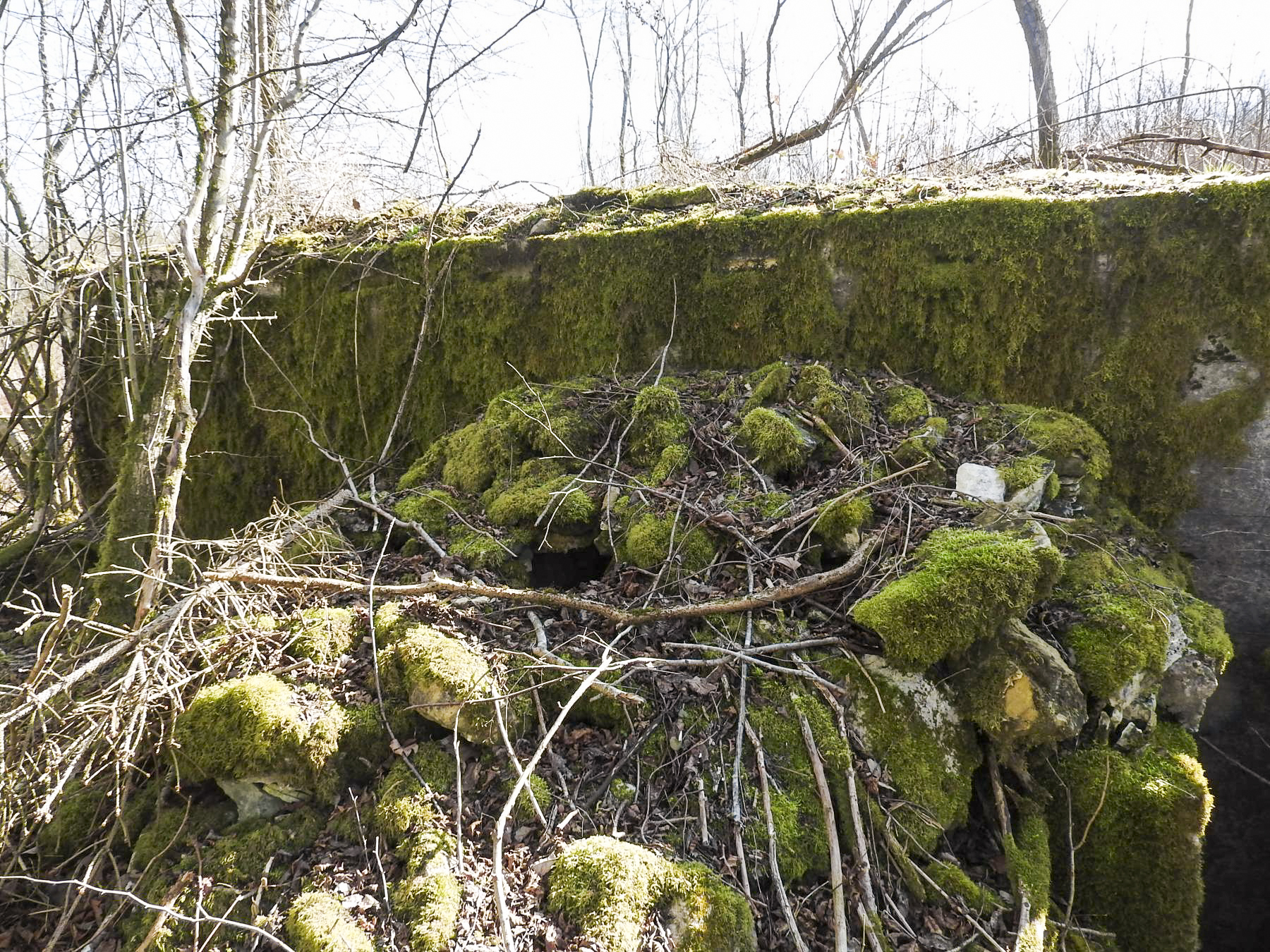 Ligne Maginot - MUEHLENBACH 2 - (Blockhaus pour arme infanterie) - Le côté gauche du blockhaus.
L'entrée se trouve sous un rocaillage de camouflage. - STENGER Mathieu