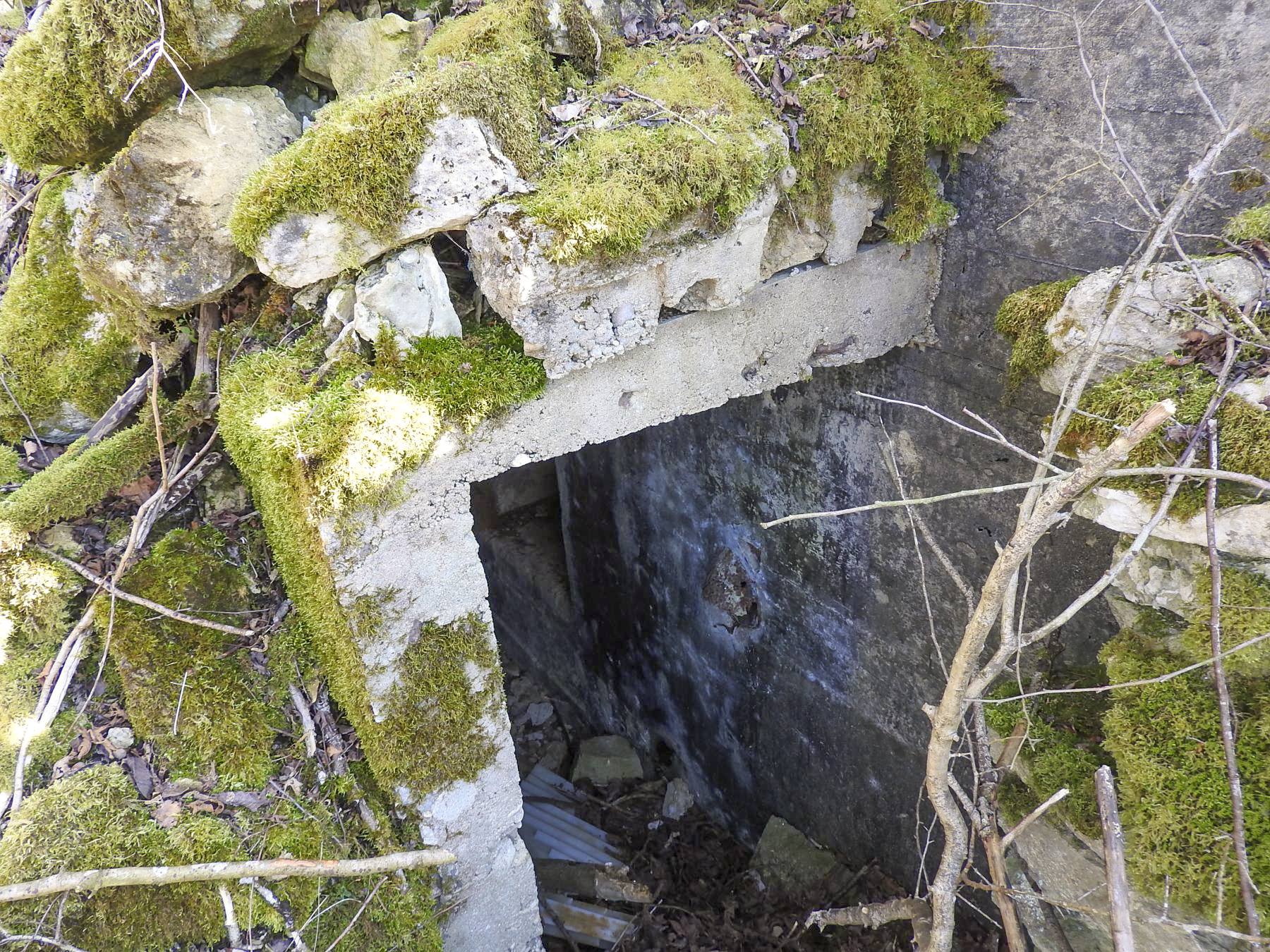 Ligne Maginot - MUEHLENBACH 2 - (Blockhaus pour arme infanterie) - L'entrée protégée par une galerie bétonnée sous un rocaillage de camouflage. - STENGER Mathieu