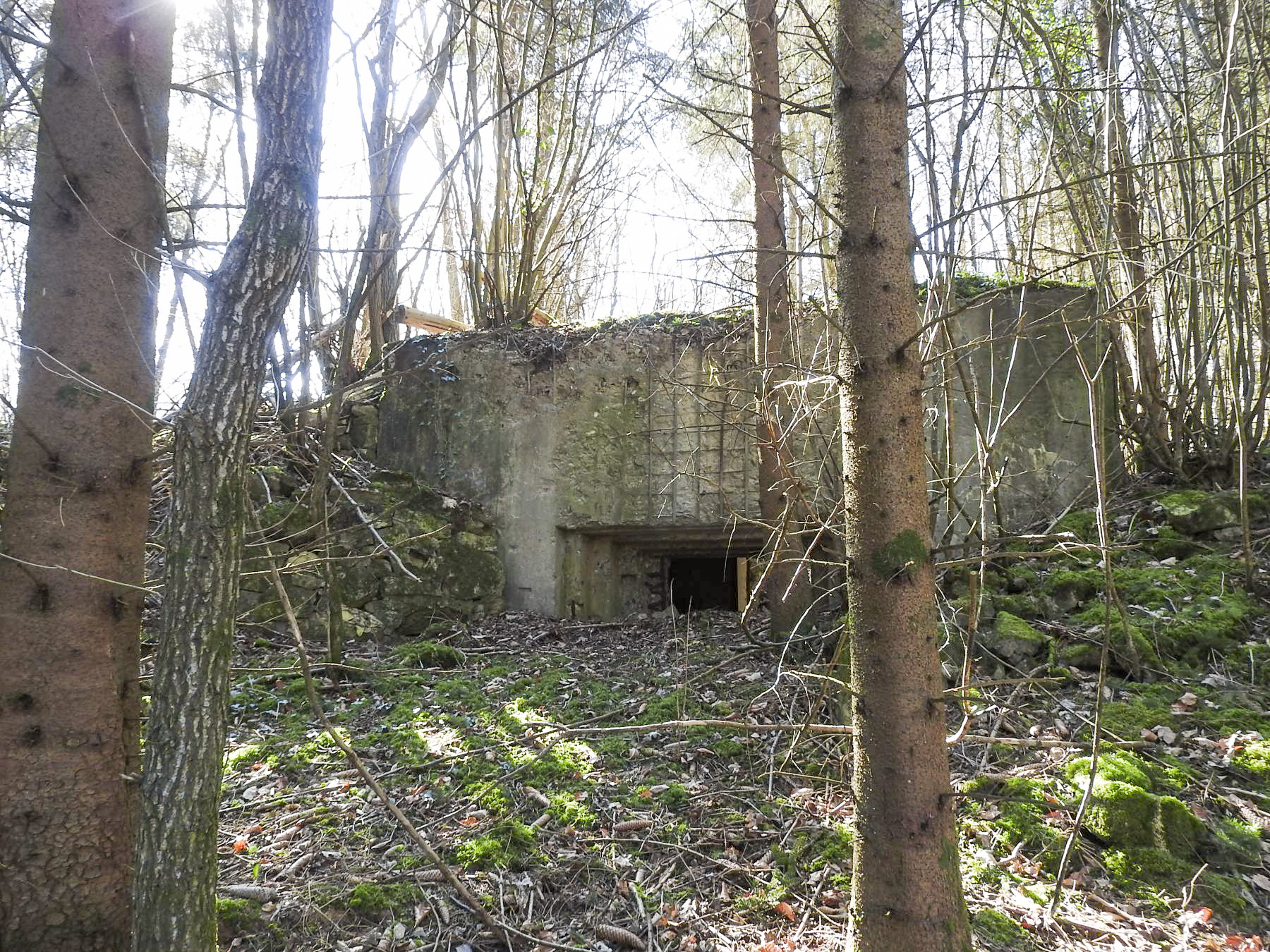 Ligne Maginot - MUEHLENBACH 3 - (Blockhaus pour canon) - La façade de tir du blockhaus. - STENGER Mathieu