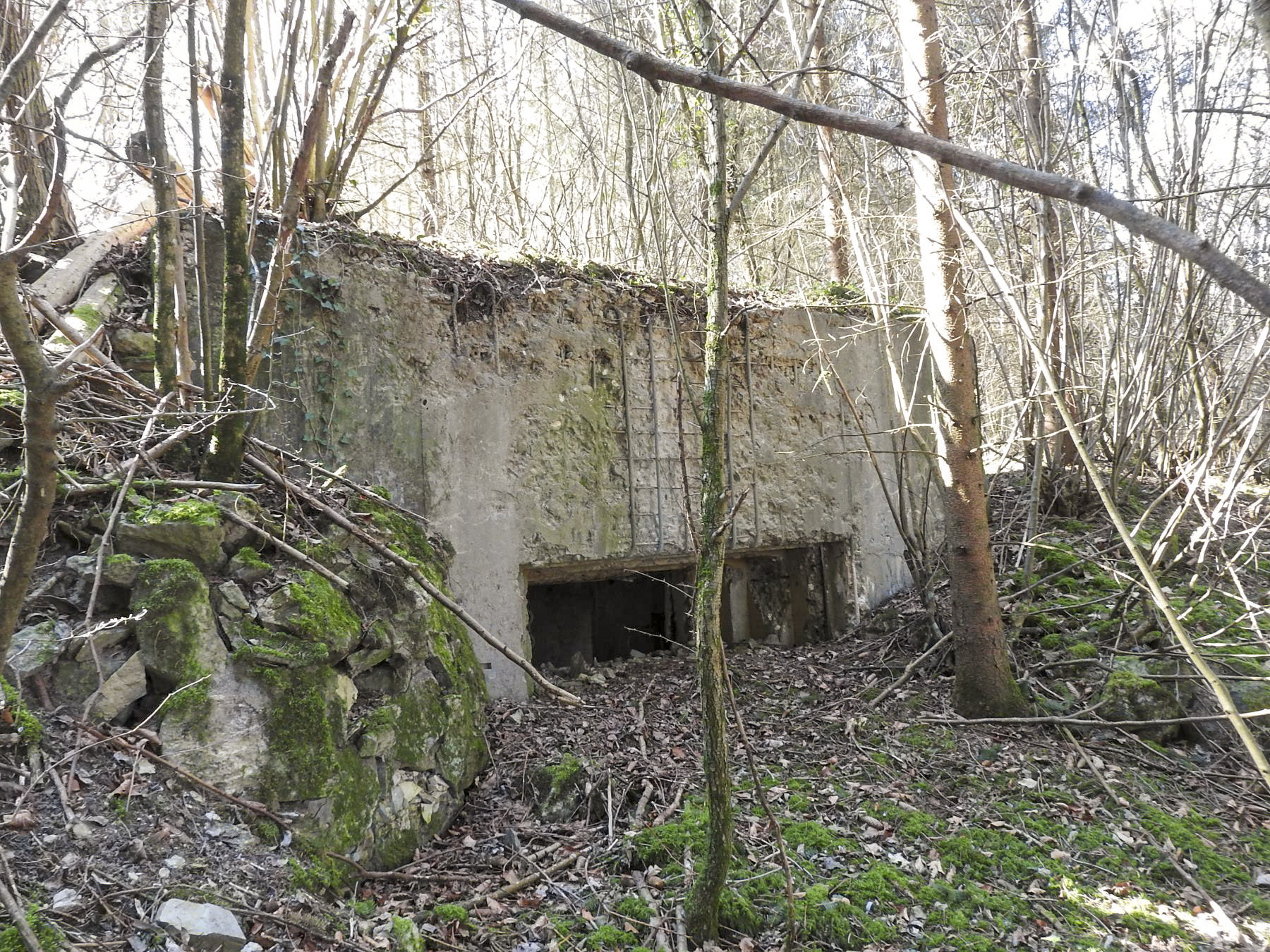 Ligne Maginot - MUEHLENBACH 3 - (Blockhaus pour canon) - La façade de tir du blockhaus. - STENGER Mathieu