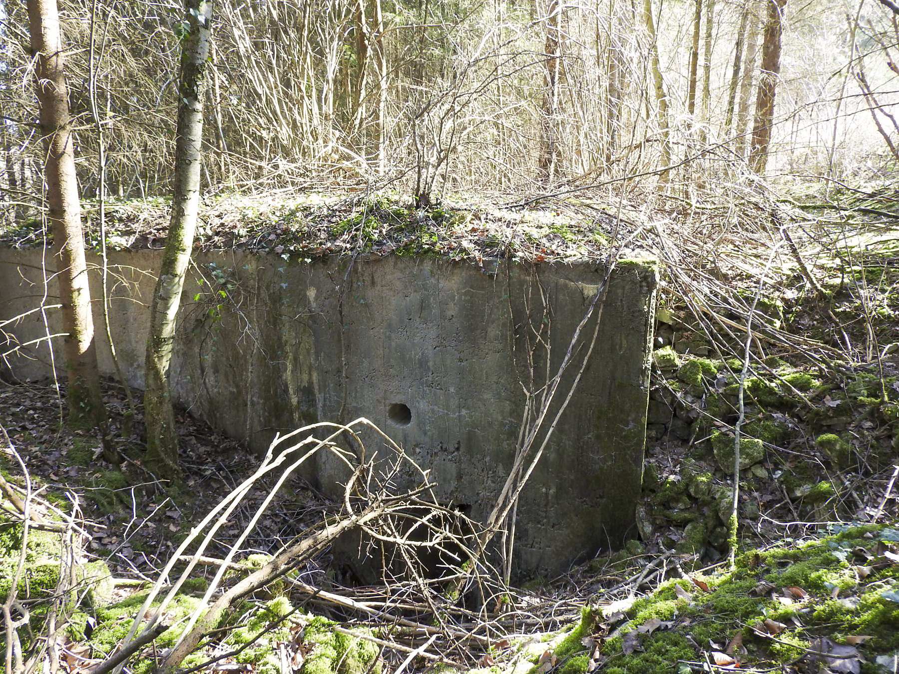 Ligne Maginot - MUEHLENBACH 3 - (Blockhaus pour canon) - L'entrée latérale pour personnel. - STENGER Mathieu