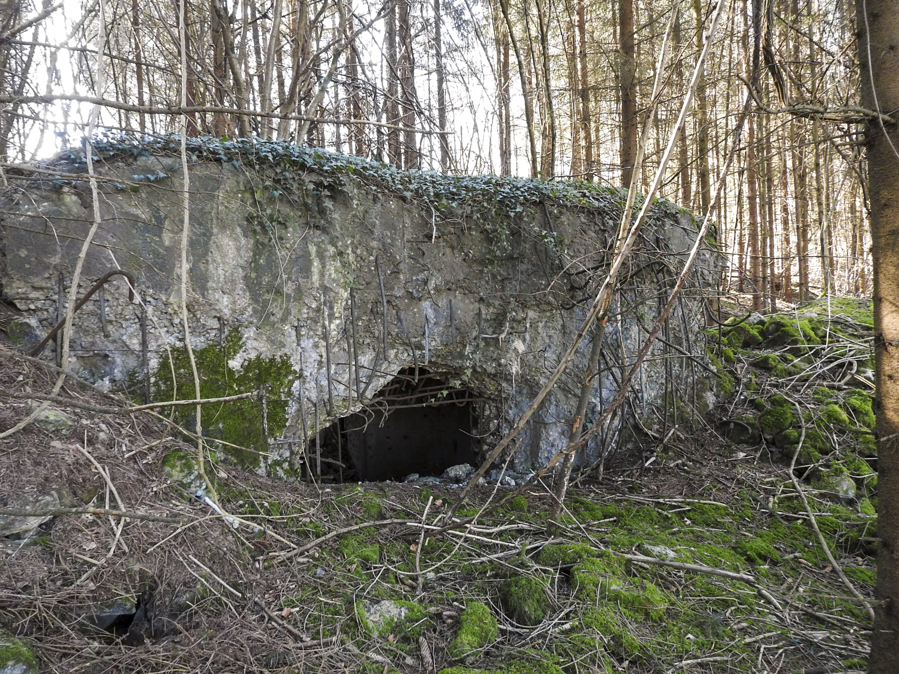 Ligne Maginot - MUEHLENBACH 4 - (Blockhaus pour canon) - La façade de tir. - STENGER Mathieu