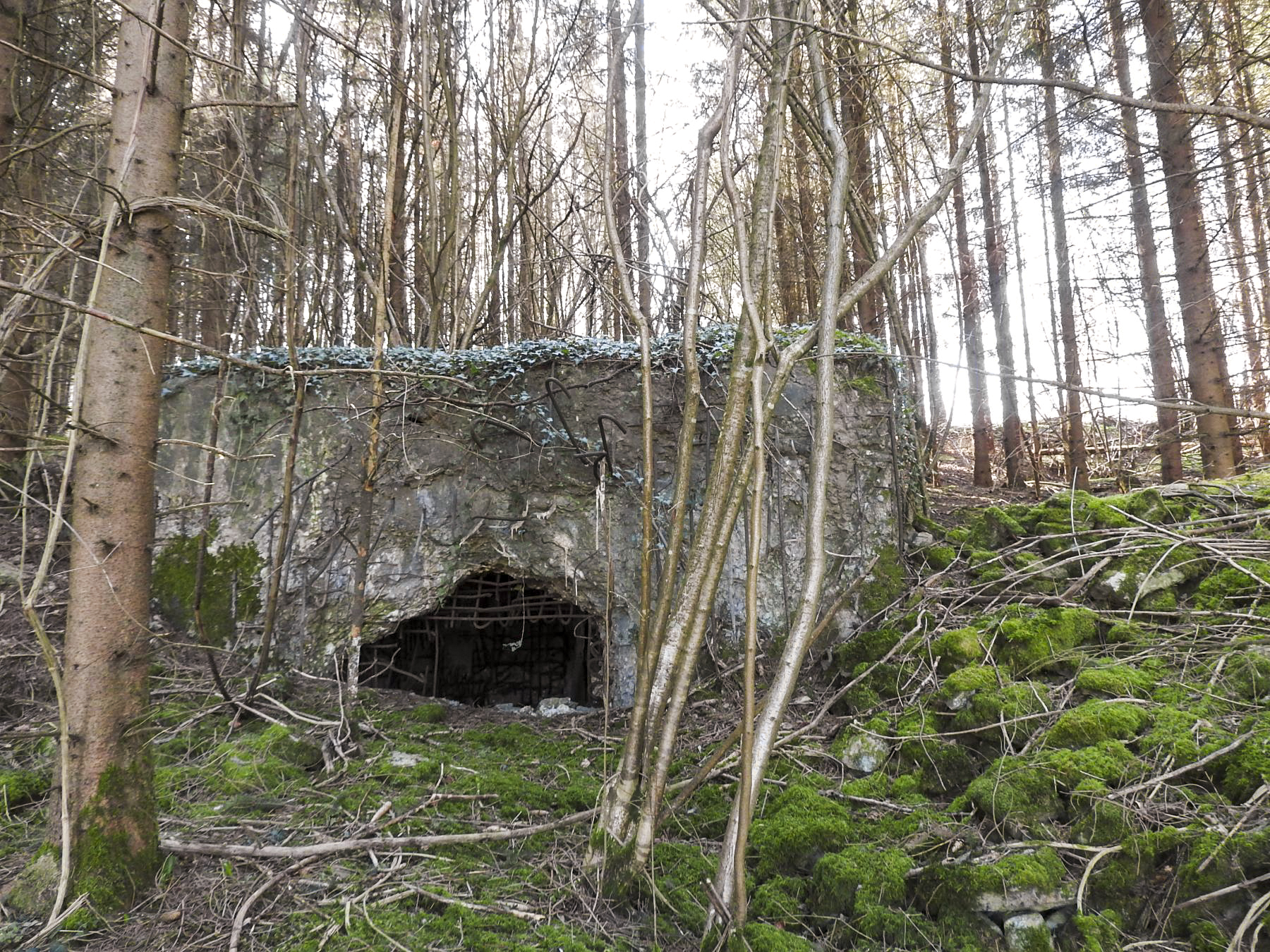 Ligne Maginot - MUEHLENBACH 4 - (Blockhaus pour canon) - La façade de tir. - STENGER Mathieu