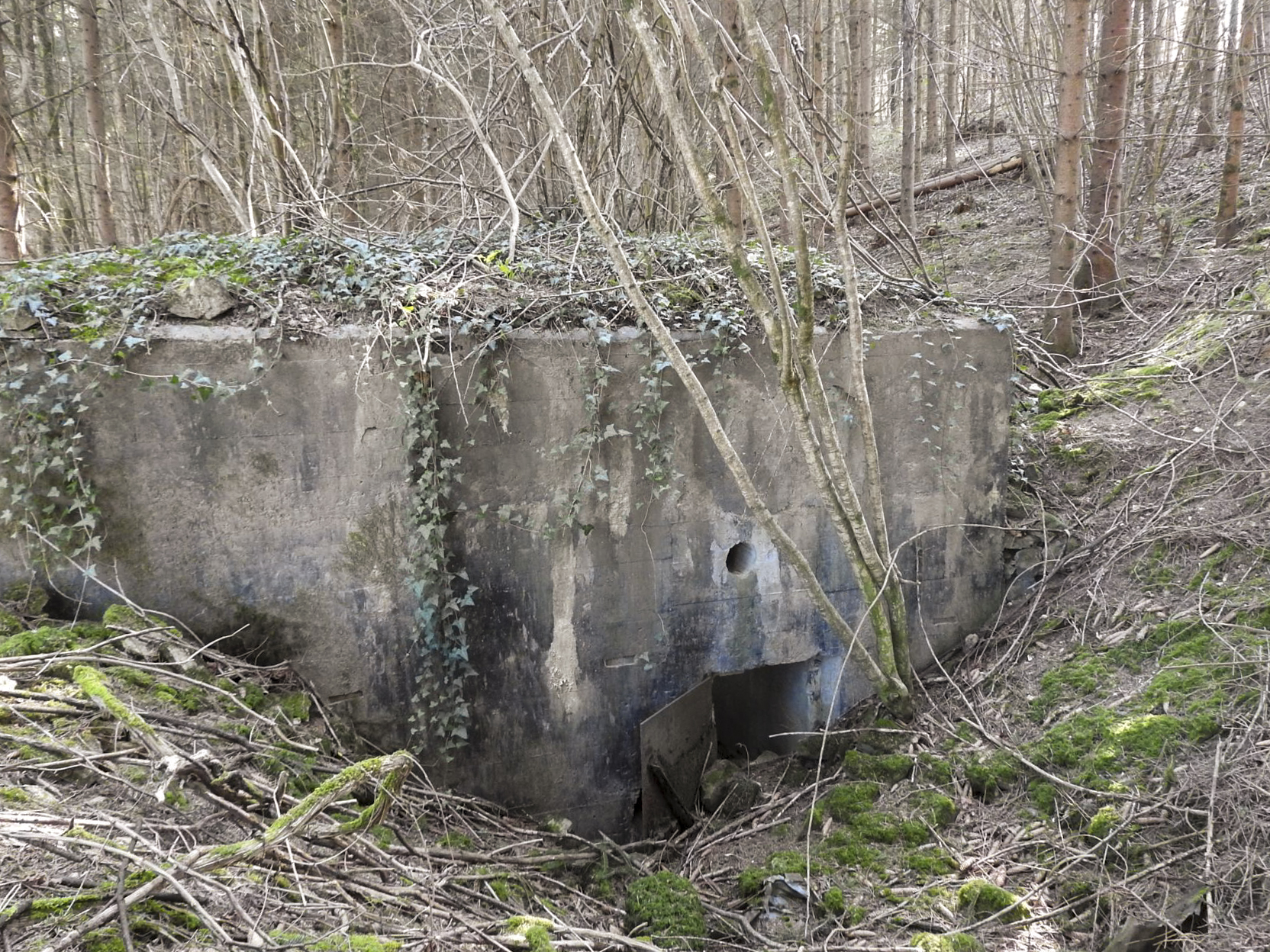 Ligne Maginot - MUEHLENBACH 4 - (Blockhaus pour canon) - L'entrée des hommes. - STENGER Mathieu