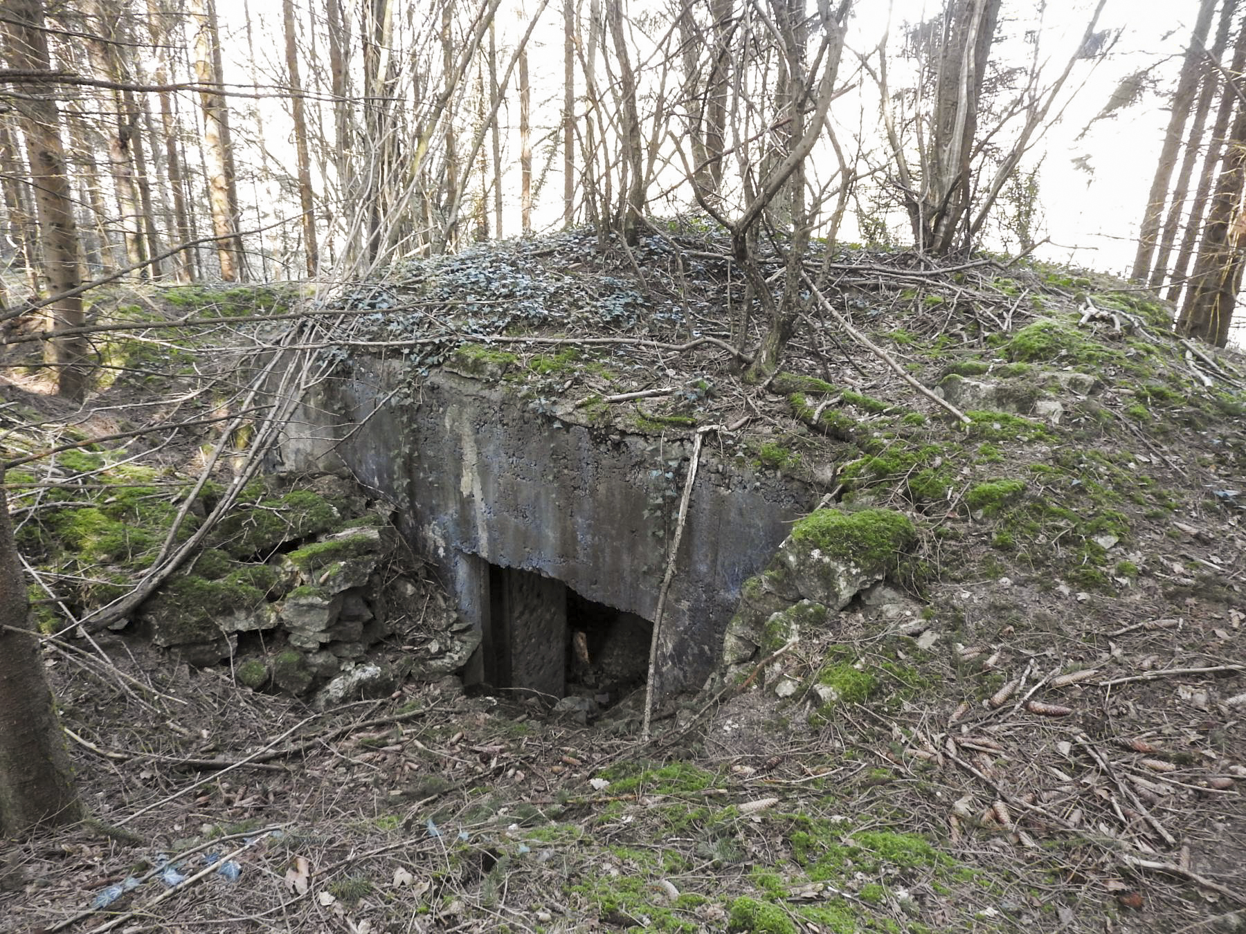 Ligne Maginot - MUEHLENBACH 4 - (Blockhaus pour canon) - L'entrée du canon. - STENGER Mathieu