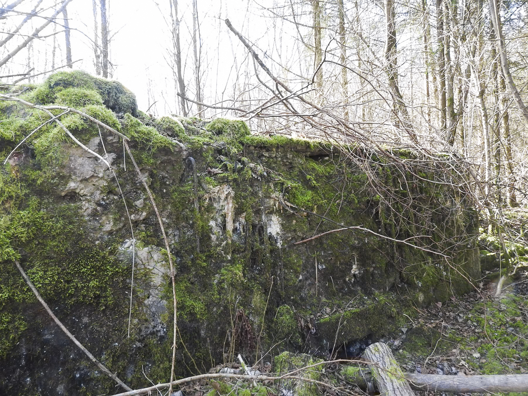 Ligne Maginot - MUEHLENBACH 5 - (Blockhaus pour arme infanterie) - La façade de tir du blockhaus. - STENGER Mathieu