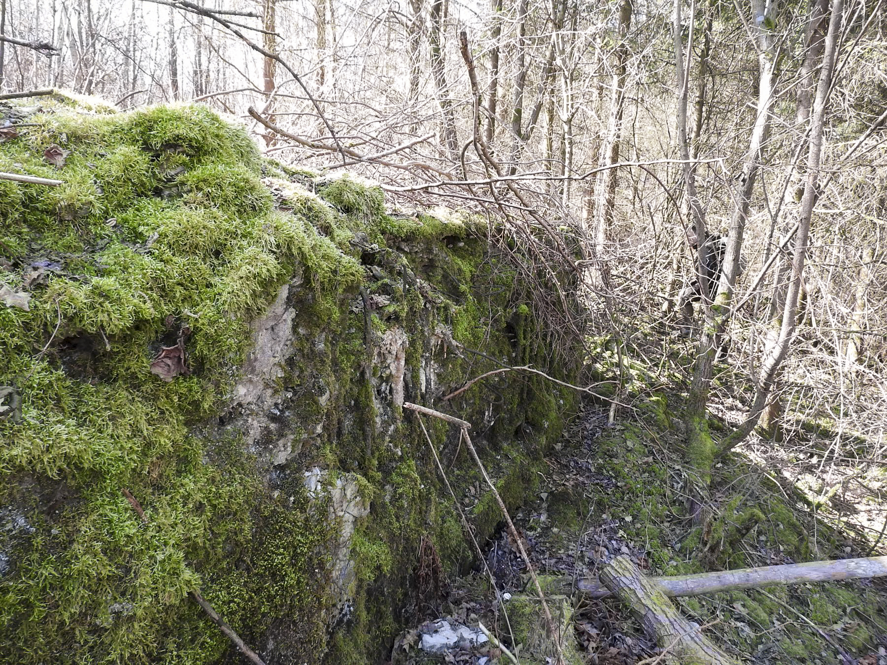 Ligne Maginot - MUEHLENBACH 5 - (Blockhaus pour arme infanterie) - La façade de tir du blockhaus. - STENGER Mathieu