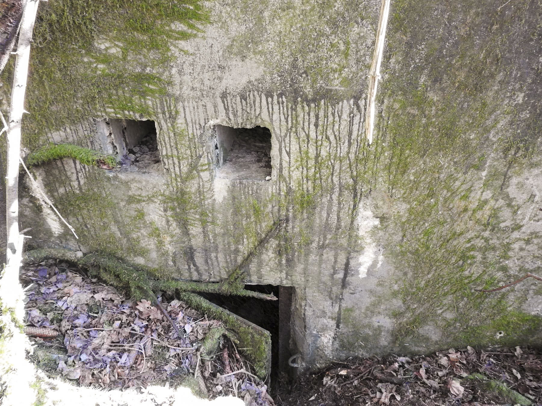Ligne Maginot - MUEHLENBACH 5 - (Blockhaus pour arme infanterie) - L'entrée du blockhaus. - STENGER Mathieu