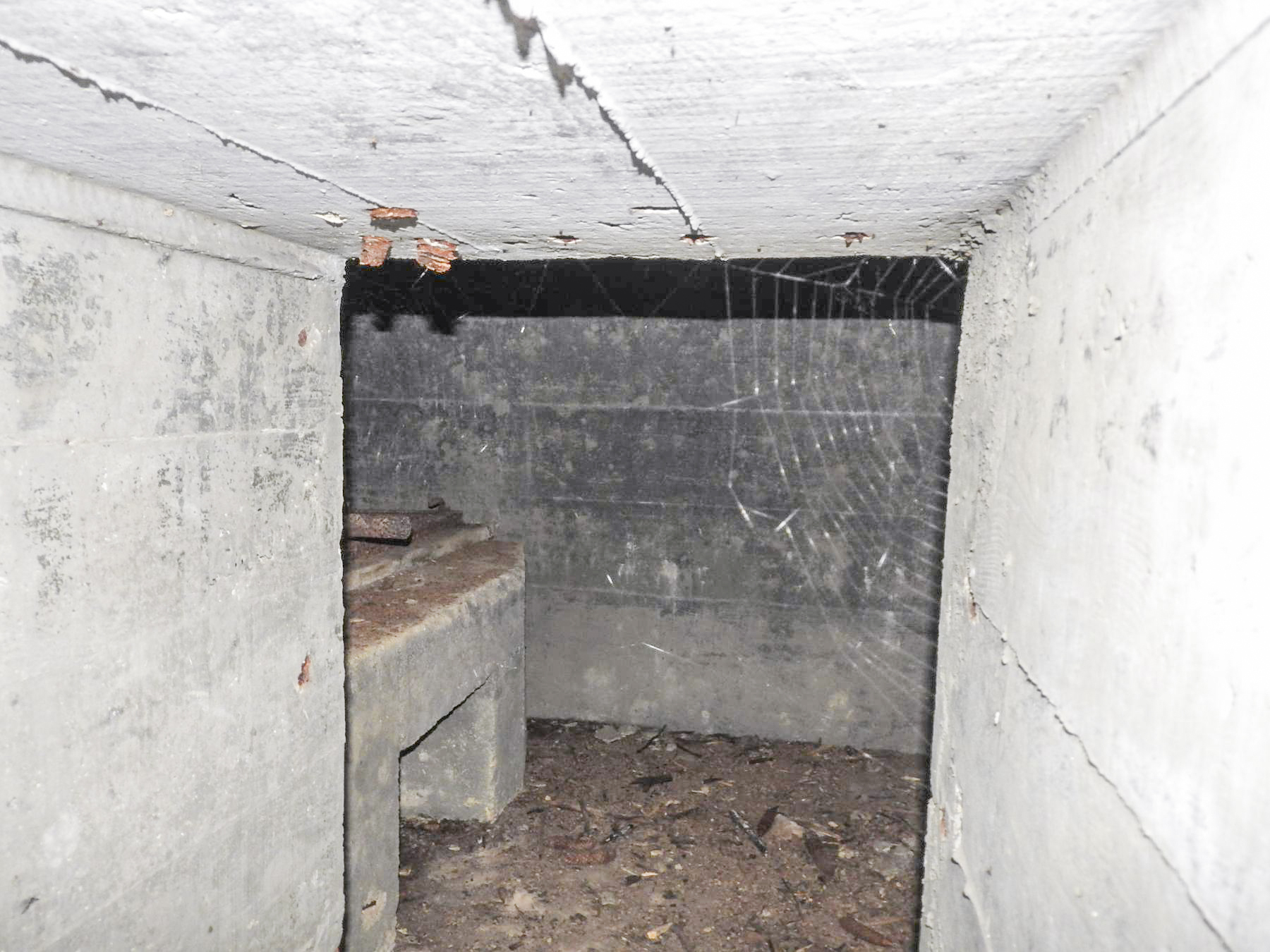Ligne Maginot - MUEHLENBACH 5 - (Blockhaus pour arme infanterie) - On distingue la table de tir pour mitrailleuse par l'entrée. - STENGER Mathieu