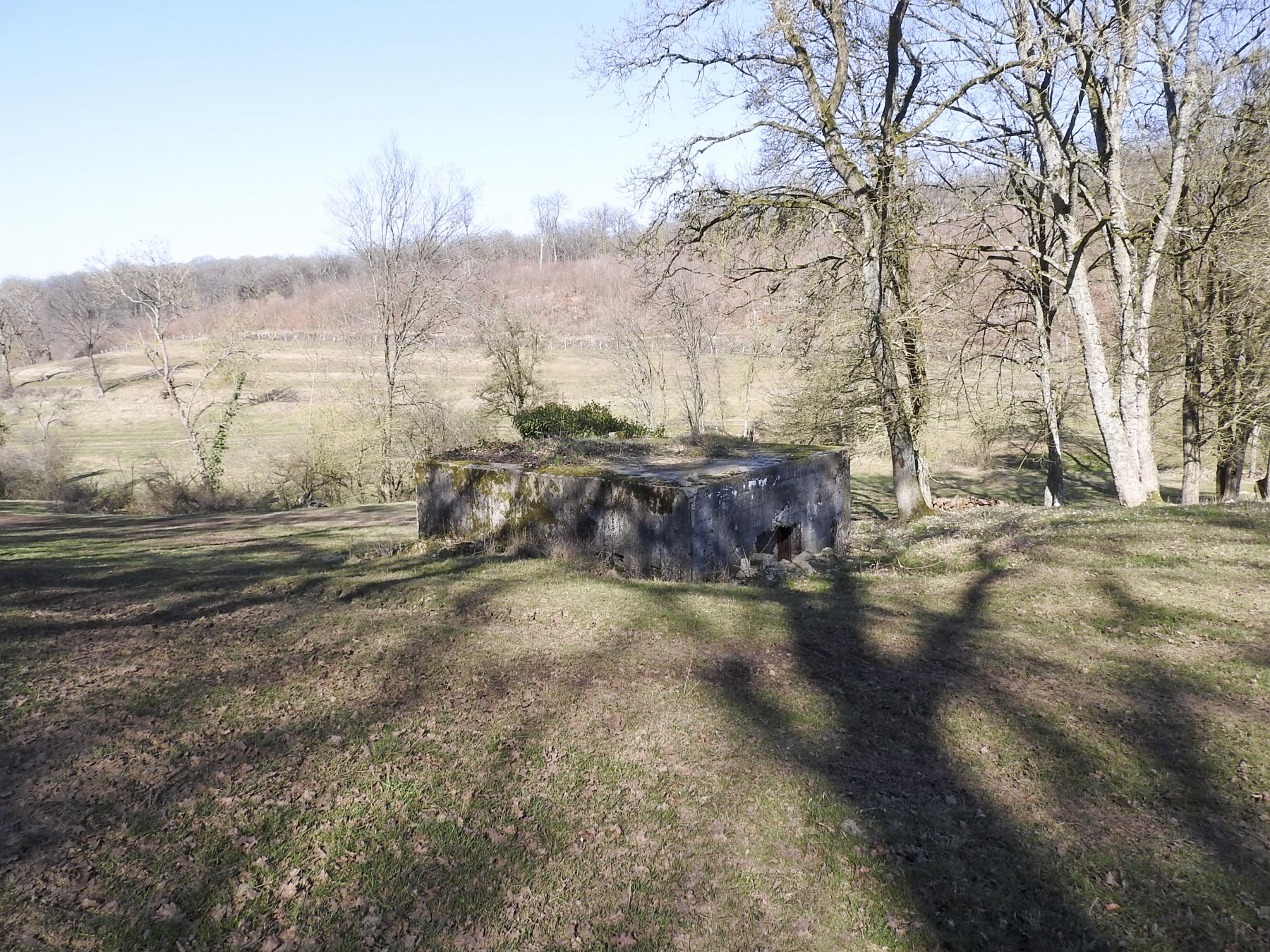 Ligne Maginot - MUEHLENBACH 6 - (Blockhaus pour canon) - Le blockhaus dans son environnement. - STENGER Mathieu