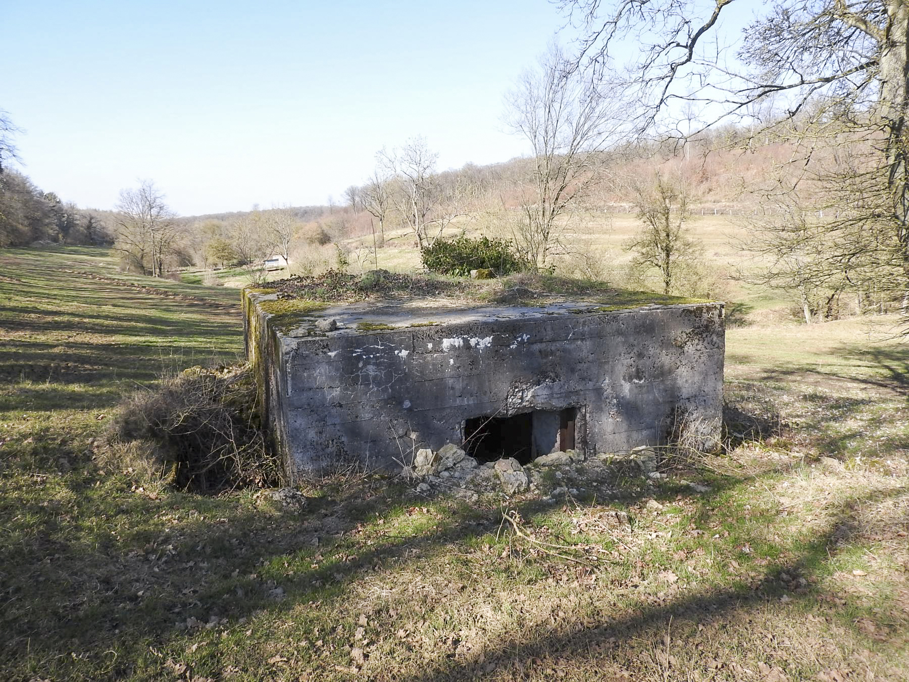 Ligne Maginot - MUEHLENBACH 6 - (Blockhaus pour canon) - La façade arrière et l'entrée du canon. - STENGER Mathieu