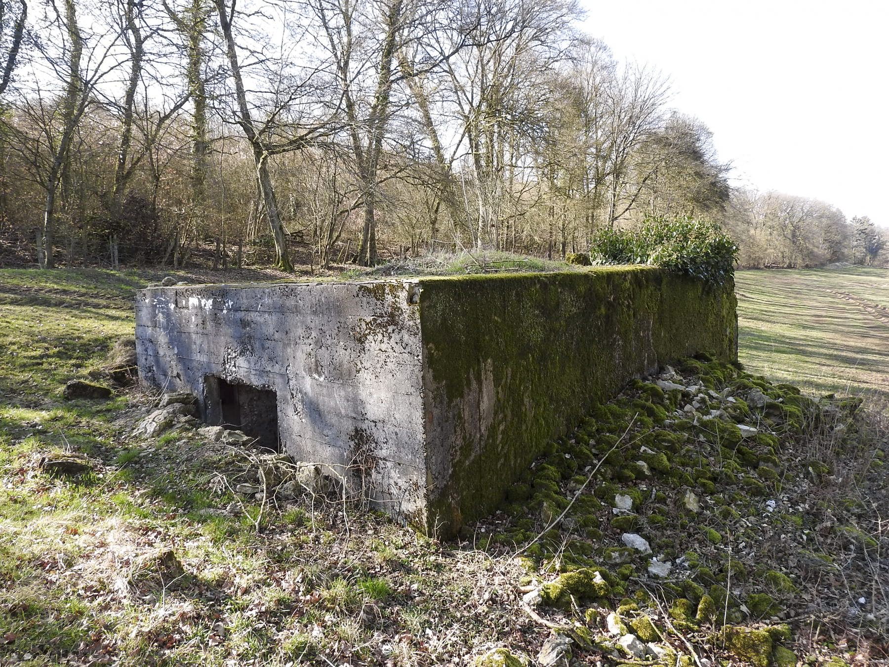 Ligne Maginot - MUEHLENBACH 6 - (Blockhaus pour canon) - La façade arrière et l'entrée du canon. - STENGER Mathieu