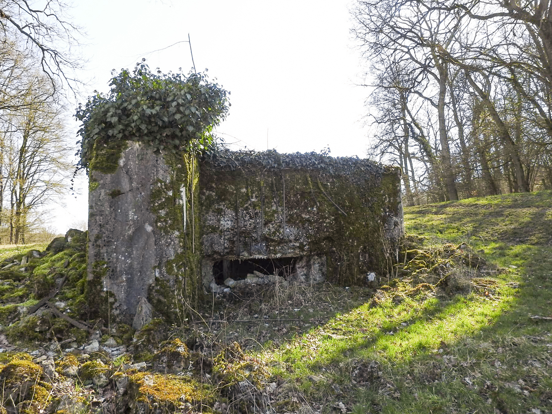Ligne Maginot - MUEHLENBACH 6 - (Blockhaus pour canon) - La façade de tir vers le vallon du Muehlenbach. - STENGER Mathieu