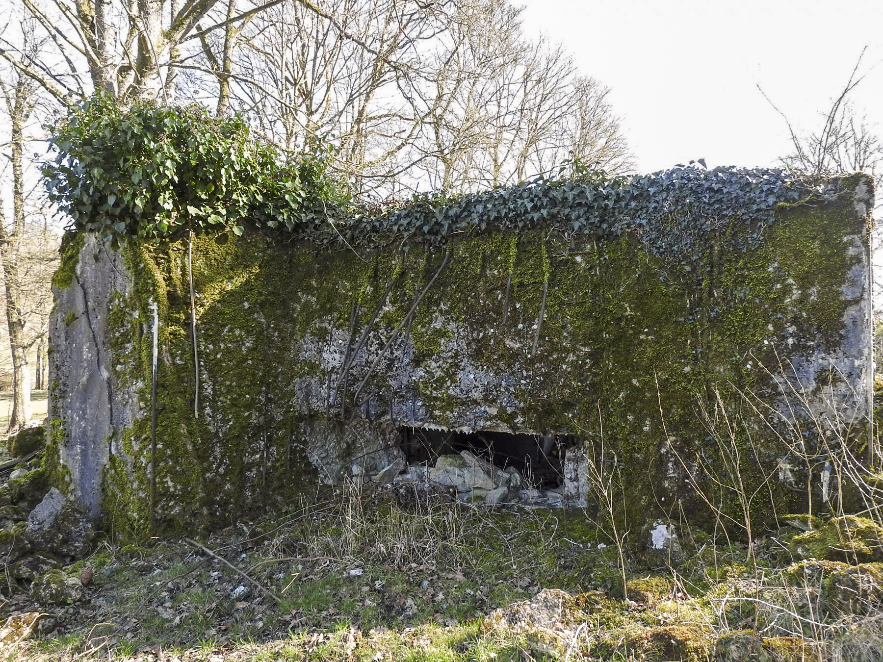 Ligne Maginot - MUEHLENBACH 6 - (Blockhaus pour canon) - La façade de tir vers le vallon du Muehlenbach. - STENGER Mathieu